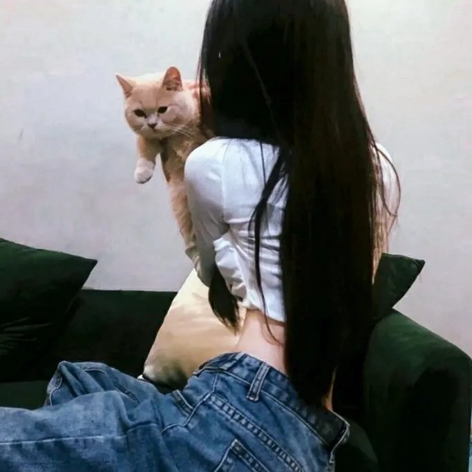 亨利和他的六个老婆 海报